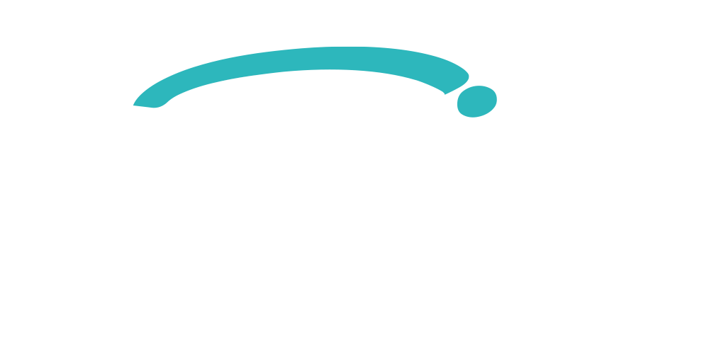 Flyin Yazılım ve Uzay Teknolojileri